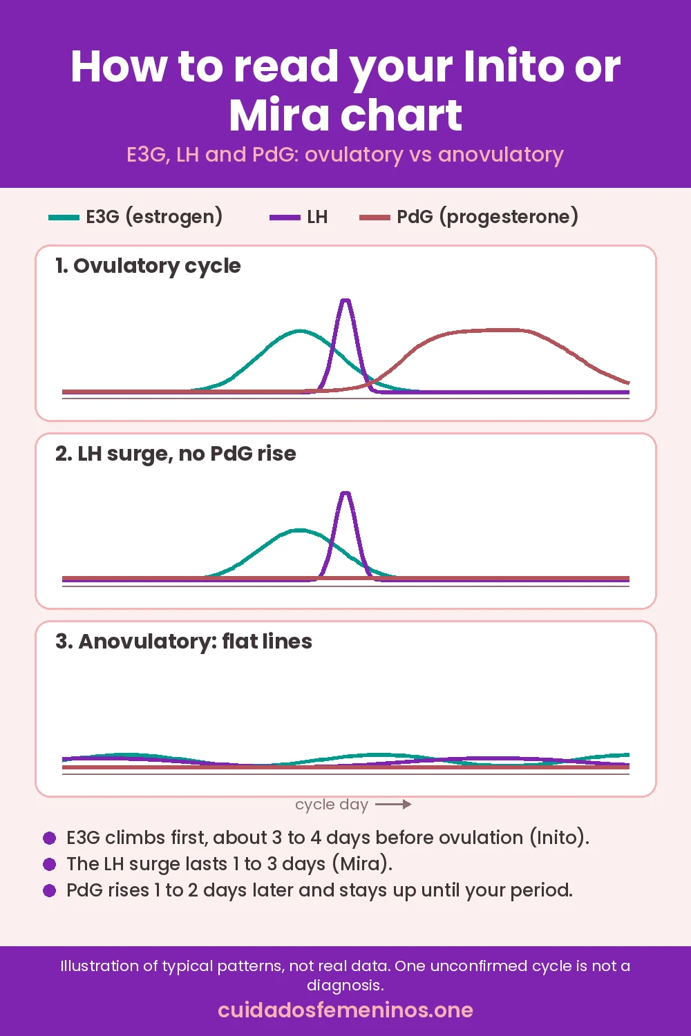 How to read an Inito or Mira hormone chart: E3G, LH and PdG curves in an ovulatory cycle vs an anovulatory cycle